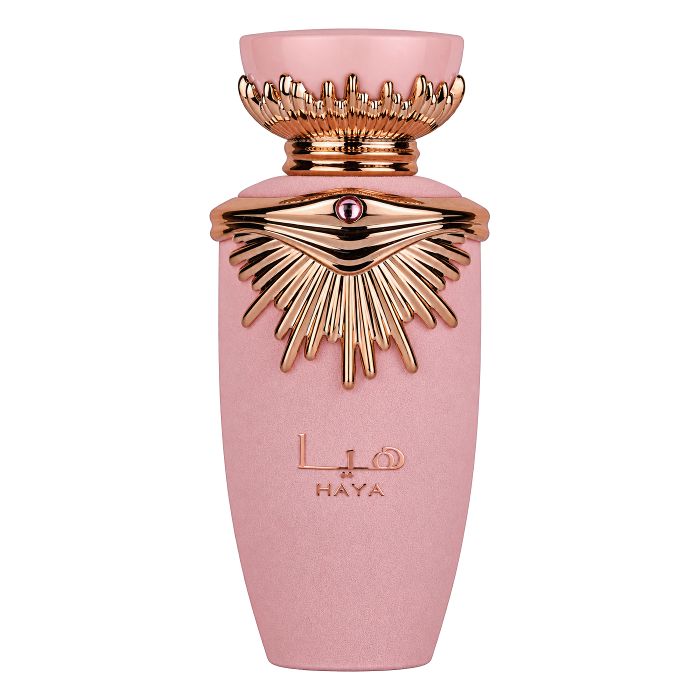 Lattafa Pisa 100 ml